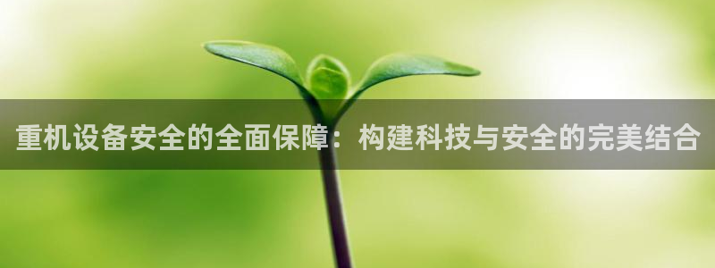 威九国际女演员名单介绍：重机设备安全的全面保障：构建科技与安