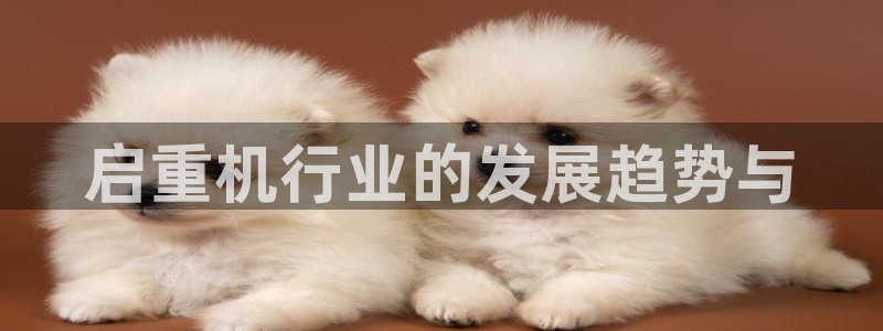 威九国际v96242cc官网版：启重机行业的发展趋势与