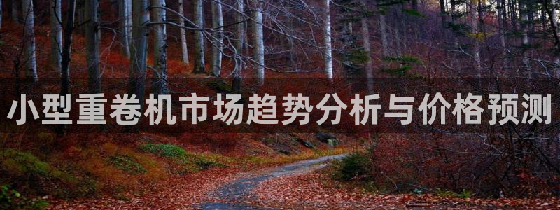 威九国际最受欢迎的功能：小型重卷机市场趋势分析与价格预测