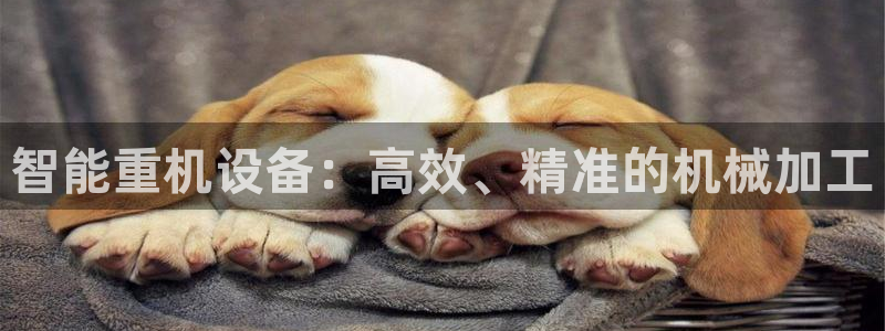 威九国际体育app下载：智能重机设备：高效、精准的机械加工