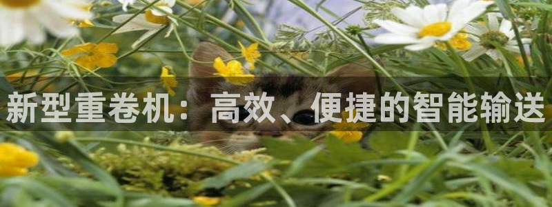 威九国际78m78：新型重卷机：高效、便捷的智能输送