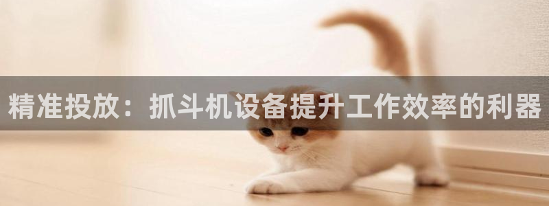 威九国际可以提现吗是真的吗：精准投放：抓斗机设备提升工作效率