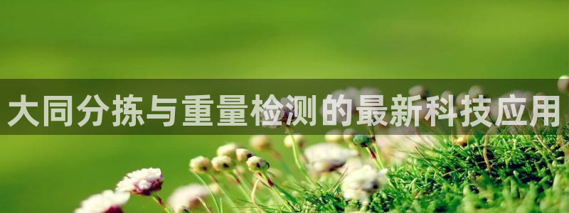 威九国际78mob游戏亮点：大同分拣与重量检测的最新科技应用