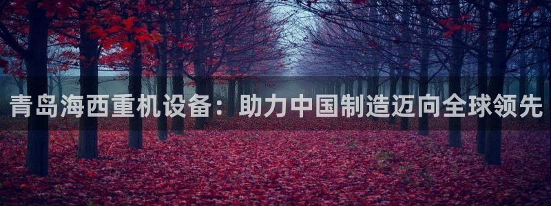 威九国际网站人入口：青岛海西重机设备：助力中国制造迈向全球领