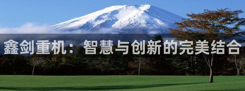 威九国际免费网络站：鑫剑重机：智慧与创新的完美结合