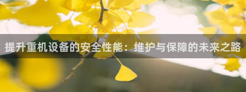 威九国际app客服电话多少