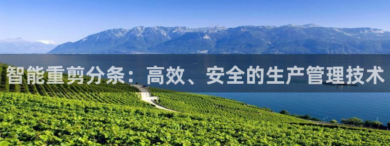 威九国际官方下载：智能重剪分条：高效、安全的生产管理技术