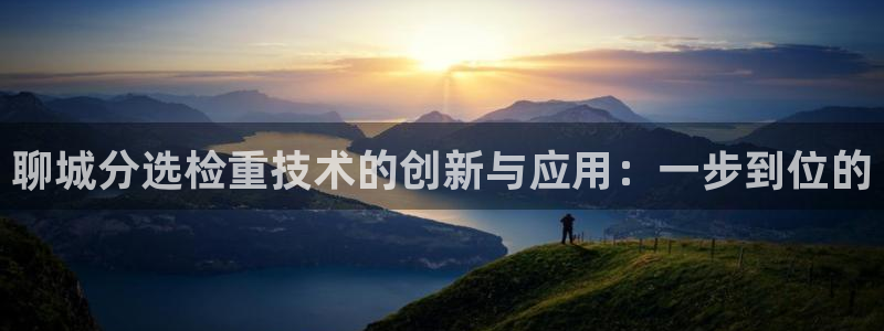 威九国际app无法登陆怎么回事：聊城分选检重技术的创新与应用