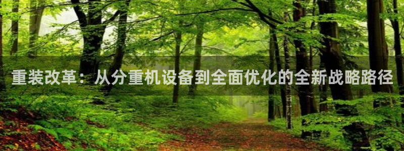 威九国际app：重装改革：从分重机设备到全面优化的全新战略路