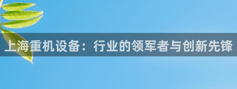 威九国际66m入口：上海重机设备：行业的领军者与创新先锋