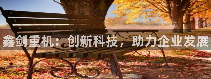 威九国际66m-66：鑫剑重机：创新科技，助力企业发展