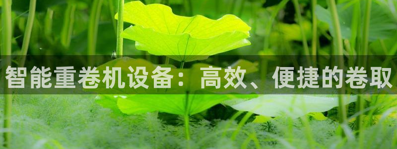 威九国际网站进入产品分类