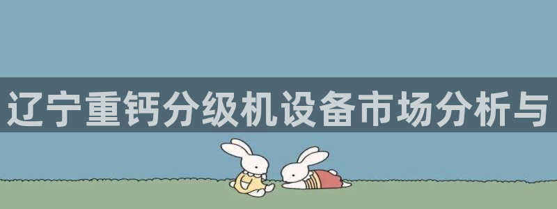 威九国际APP入口：辽宁重钙分级机设备市场分析与