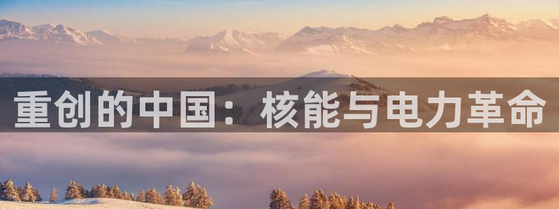 威九国际旗下艺人：重创的中国：核能与电力革命