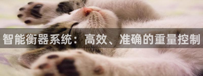 威九国际APP入口：智能衡器系统：高效、准确的重量控制