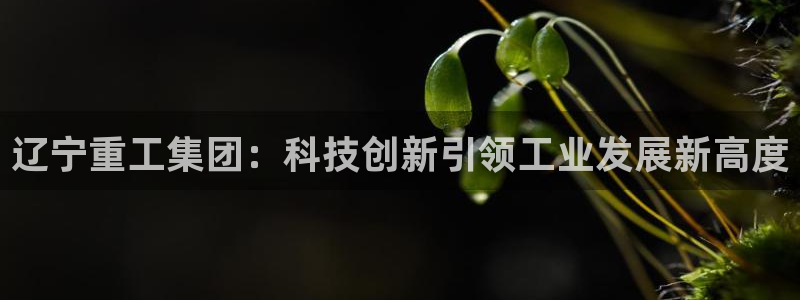 威九国际网站客服电话多少啊：辽宁重工集团：科技创新引领工业发