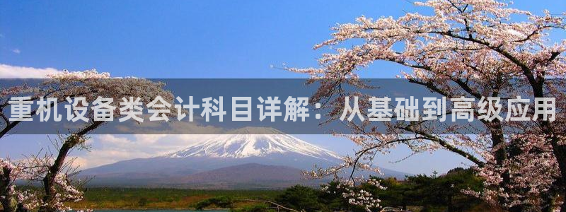 威九国际Sxsx：重机设备类会计科目详解：从基础到高级应用