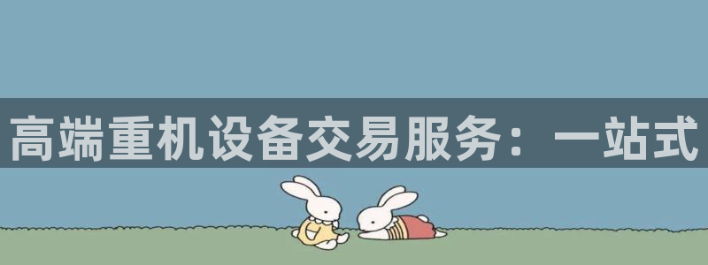 威九国际免费版：高端重机设备交易服务：一站式