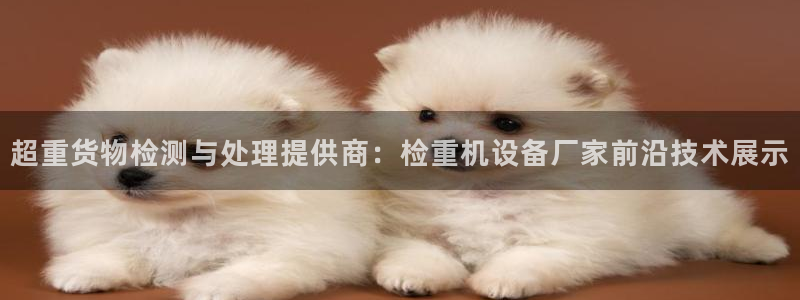 威九国际的演员