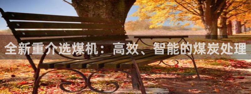 威九国际清砖码头在哪：全新重介选煤机：高效、智能的煤炭处理