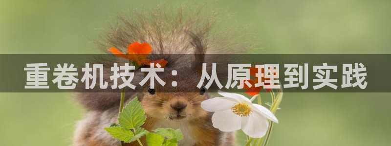 威九国际78mb官网：重卷机技术：从原理到实践