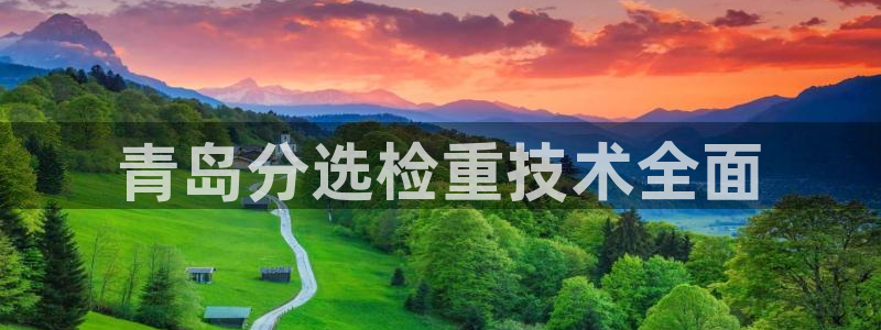 威九国际的演员