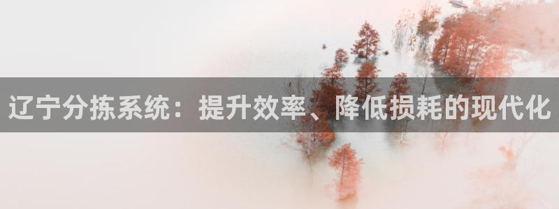 78mapp威九国际人民网：辽宁分拣系统：提升效率、降低损耗