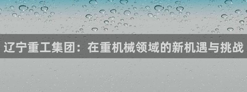 威九国际空降：辽宁重工集团：在重机械领域的新机遇与挑战