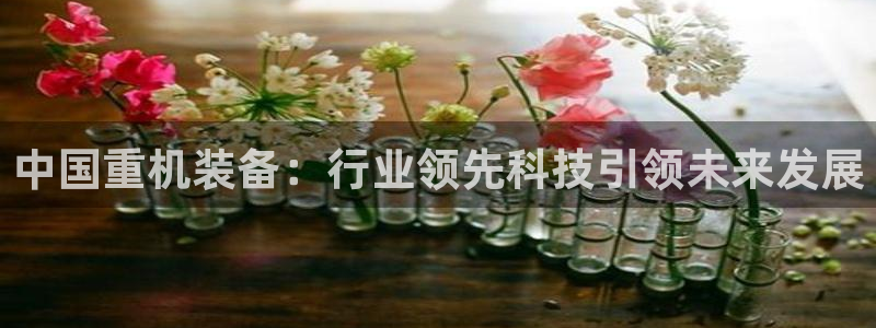 威九国际66m免费版：中国重机装备：行业领先科技引领未来发展