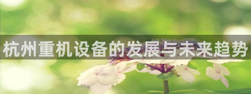 威九国际新人白发：杭州重机设备的发展与未来趋势