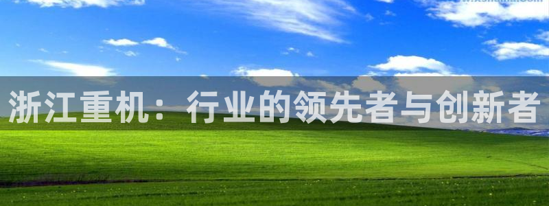 威九国际官方网站：浙江重机：行业的领先者与创新者