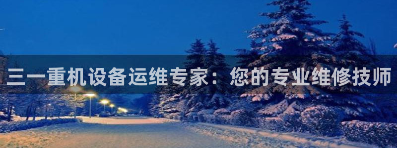 威九国际网站登录：三一重机设备运维专家：您的专业维修技师