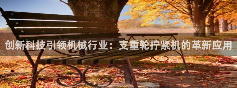 威九国际H