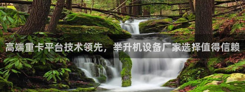 威九国际的金融服务怎么样：高端重卡平台技术领先，举升机设备厂