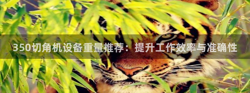 威九国际网站为什么不禁止：350切角机设备重量推荐：提升工作