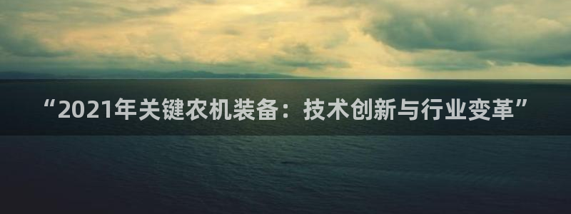 威九国际网站是多少