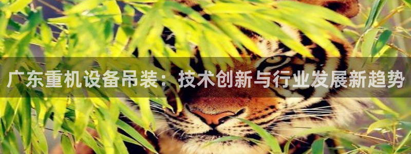 威九国际78