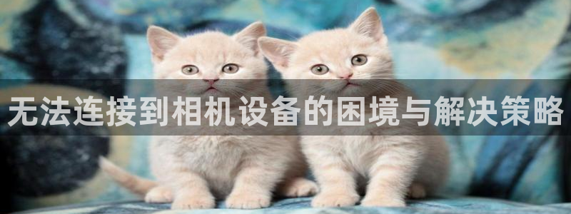 威九国际清砖码