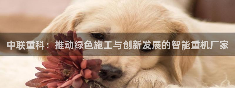 威九国际特殊奖励