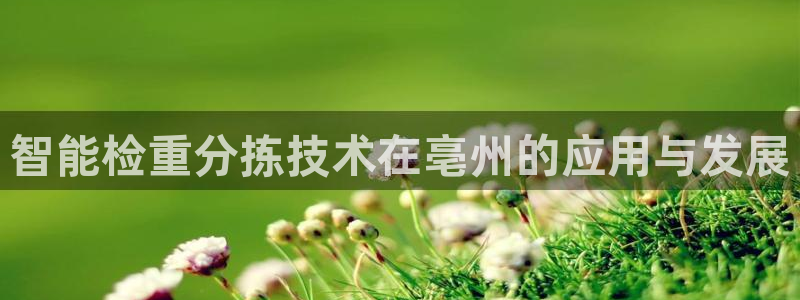78mppt威九国际