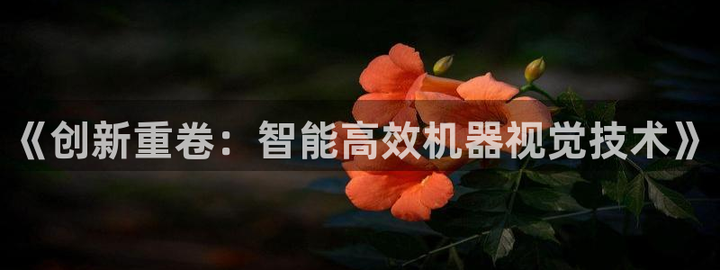 威九国际抡里