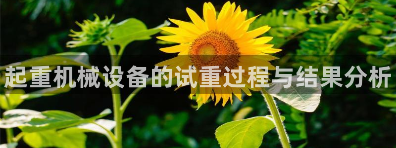 威九国际和之前