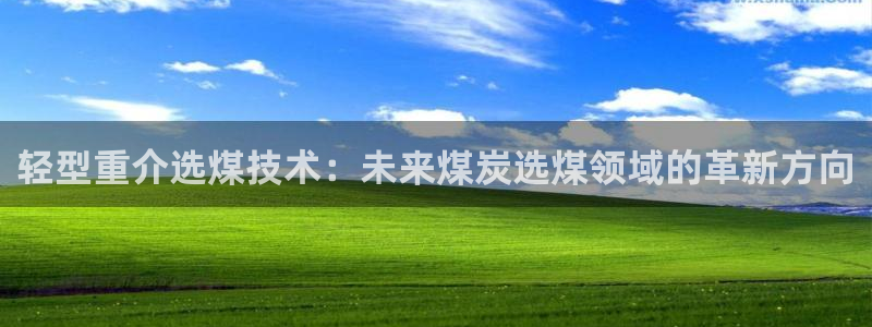 威九国际如何下载