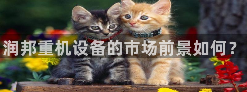 威九国际官方网站